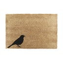 Predpražnik iz kokosovih vlaken 40x60 cm Bird – Artsy Doormats