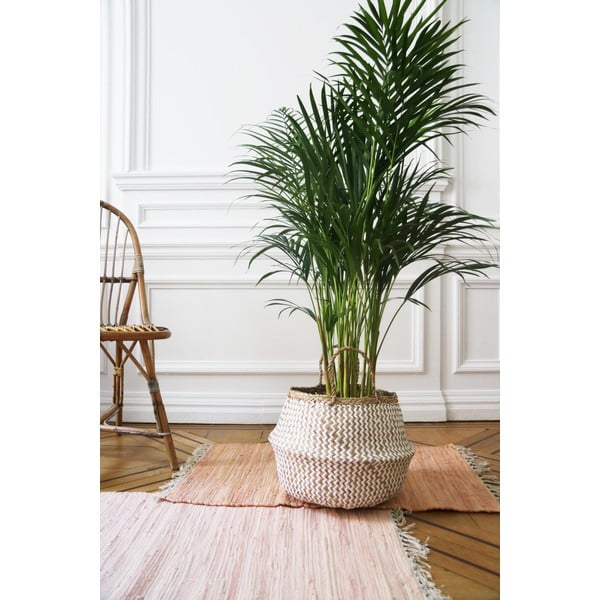 Svetla košara za shranjevanje iz morske trave Compactor Zic Zac, ⌀ 35 cm-image-2