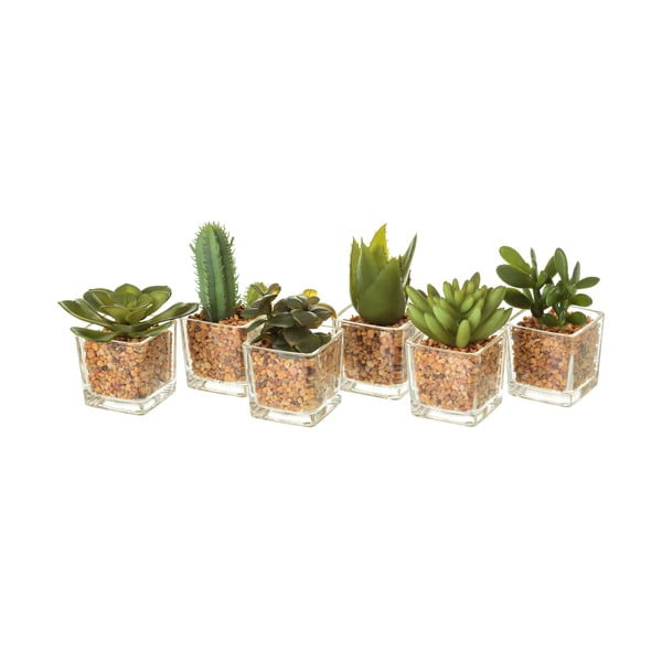 Umetne rastline v kompletu 6 ks (višina 8 cm) Cactus – Casa Selección