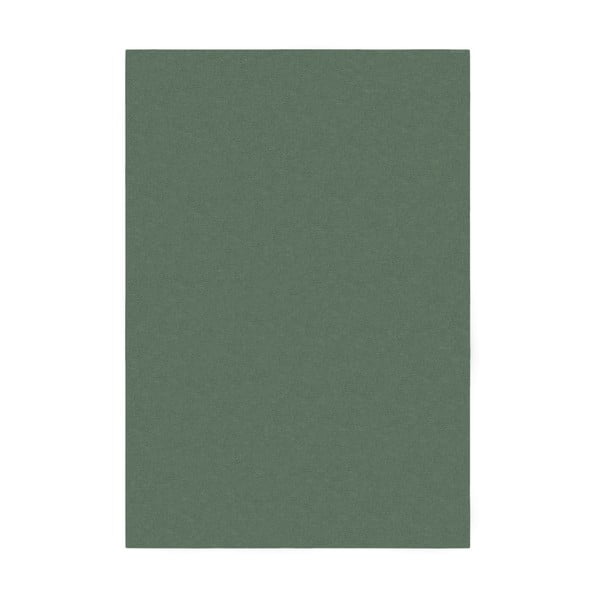 Zelena preproga 80x150 cm – Flair Rugs
