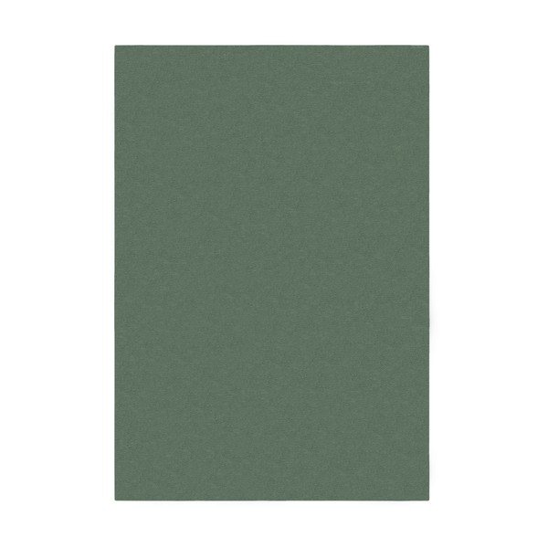 Zelena preproga 80x150 cm – Flair Rugs