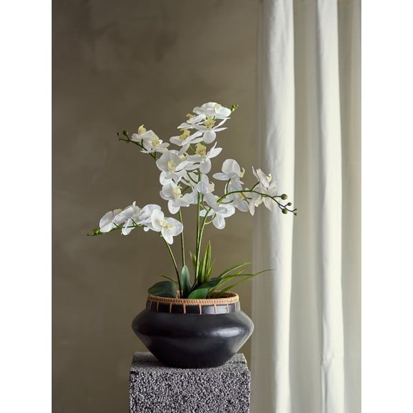 Umetna rastlina (višina 84 cm) Orchid – Bloomingville-image-1