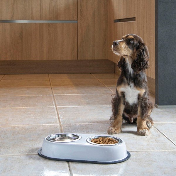 Plastičen komplet posod s podstavkom za pse – Love Story-image-1