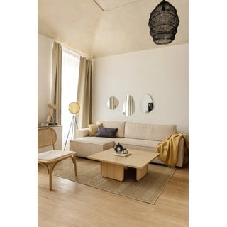 Rjava zunanja preproga NORTHRUGS Granado, 200 x 290 cm