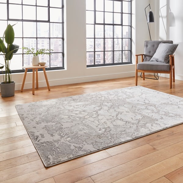 Siva/brezova preproga 170x120 cm Apollo - Think Rugs-image-2