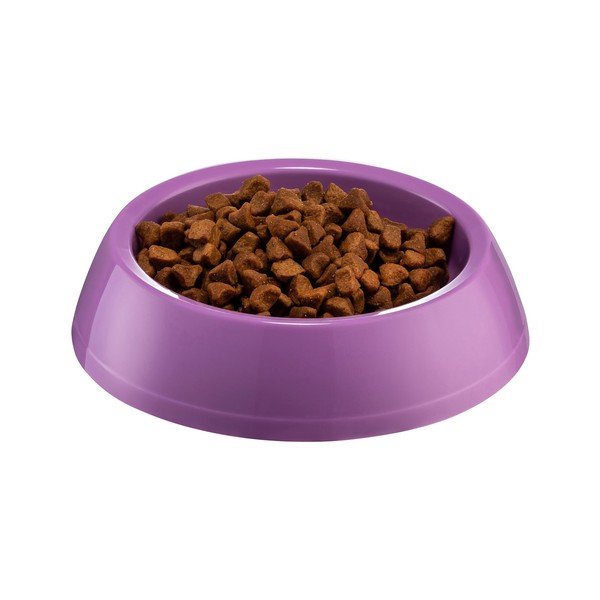 Vijolična posoda za pse Petpetite , ø 14 cm-image-1