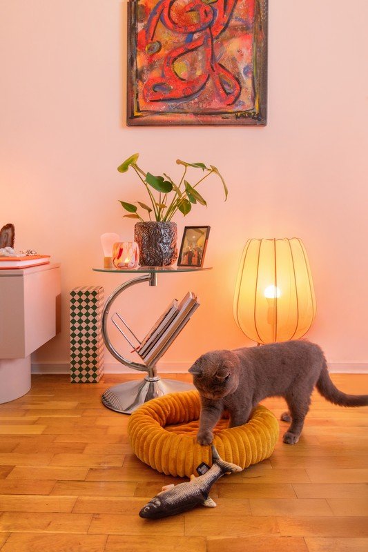 Navdih: Bonami na obisku