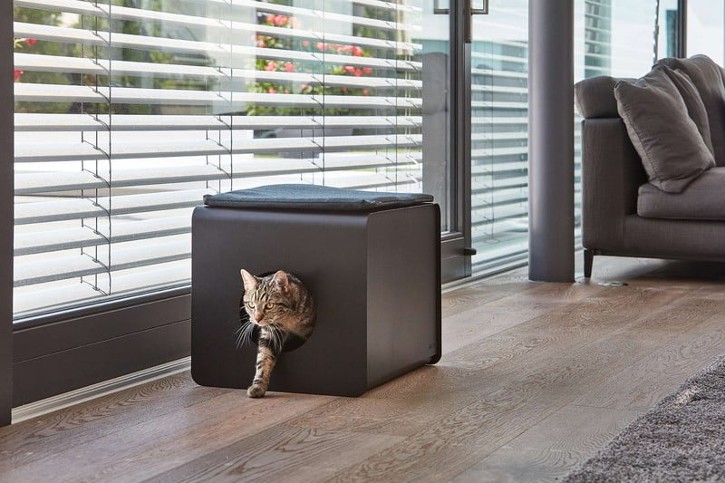 Navdih: Dnevna soba, Hišni ljubljenčki, Skandinavski stil