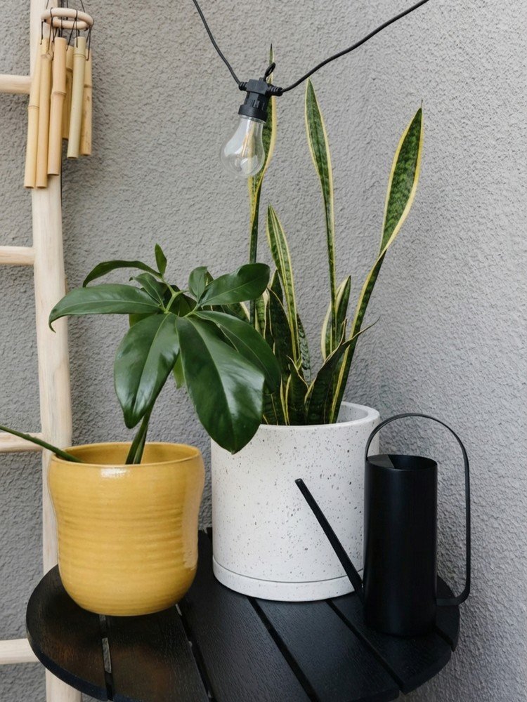 Navdih: Balkon in terasa, Vrt