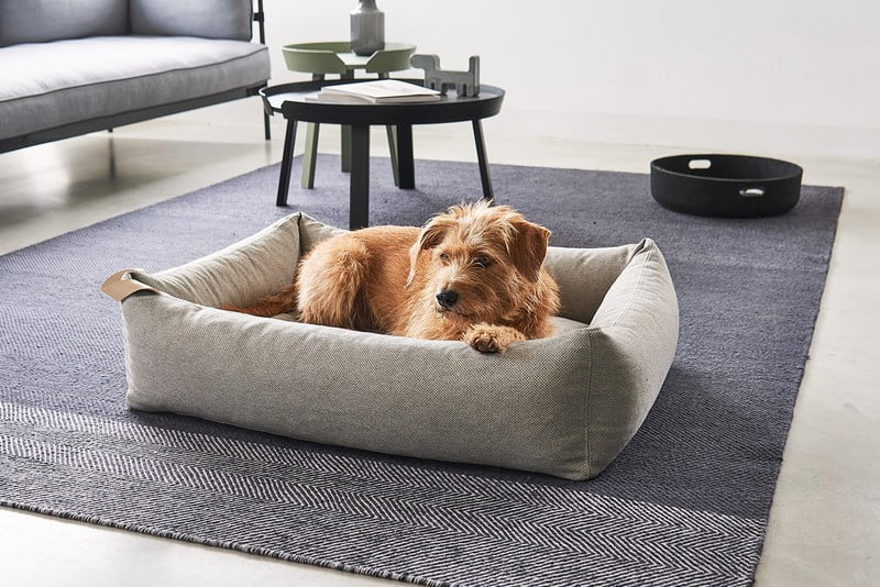 Navdih: Dnevna soba, Hišni ljubljenčki