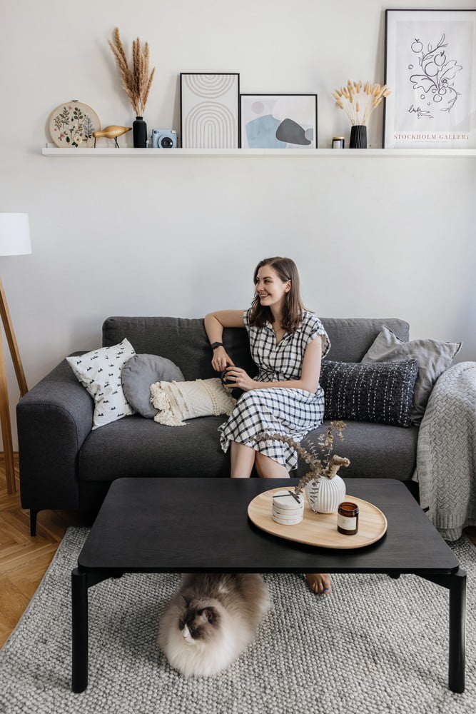 Navdih: Dnevna soba, Skandinavski stil