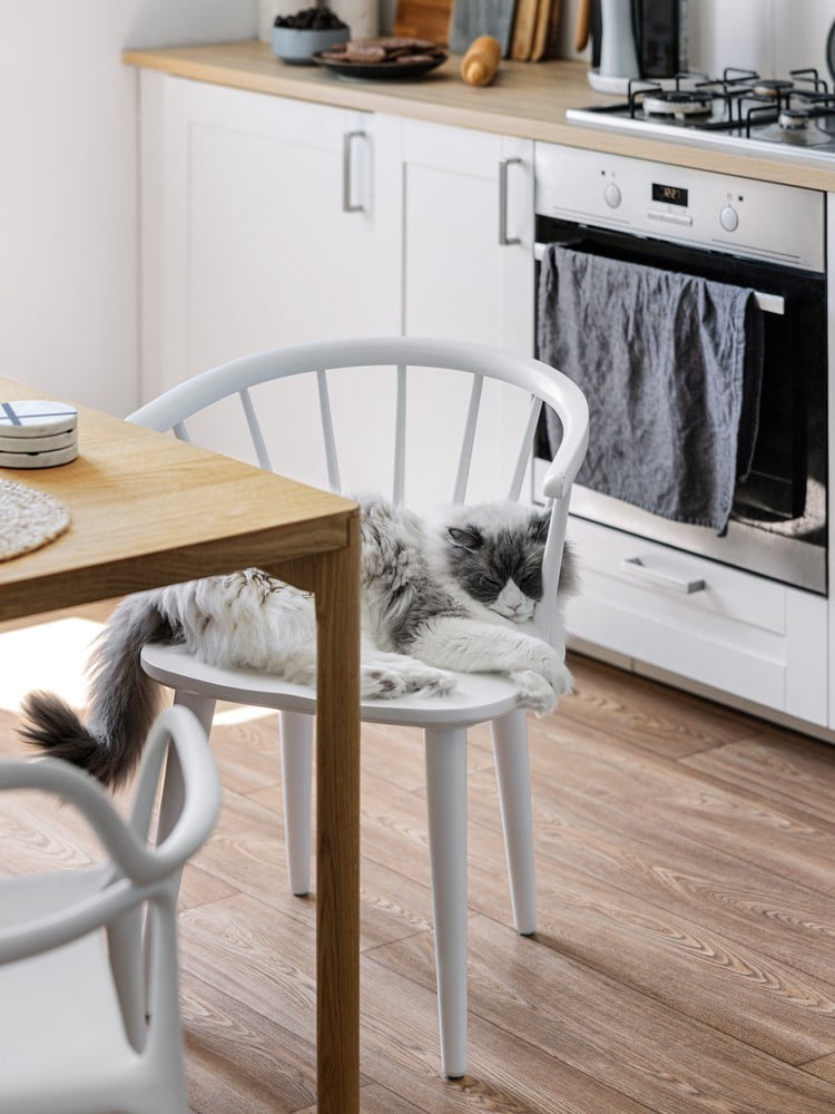 Navdih: Kuhinja in jedilnica