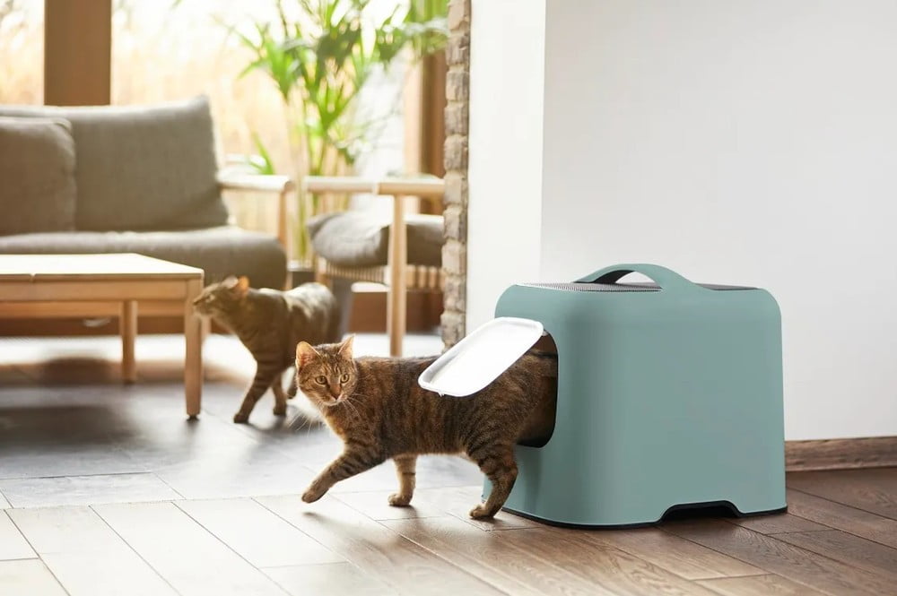 Navdih: Hišni ljubljenčki