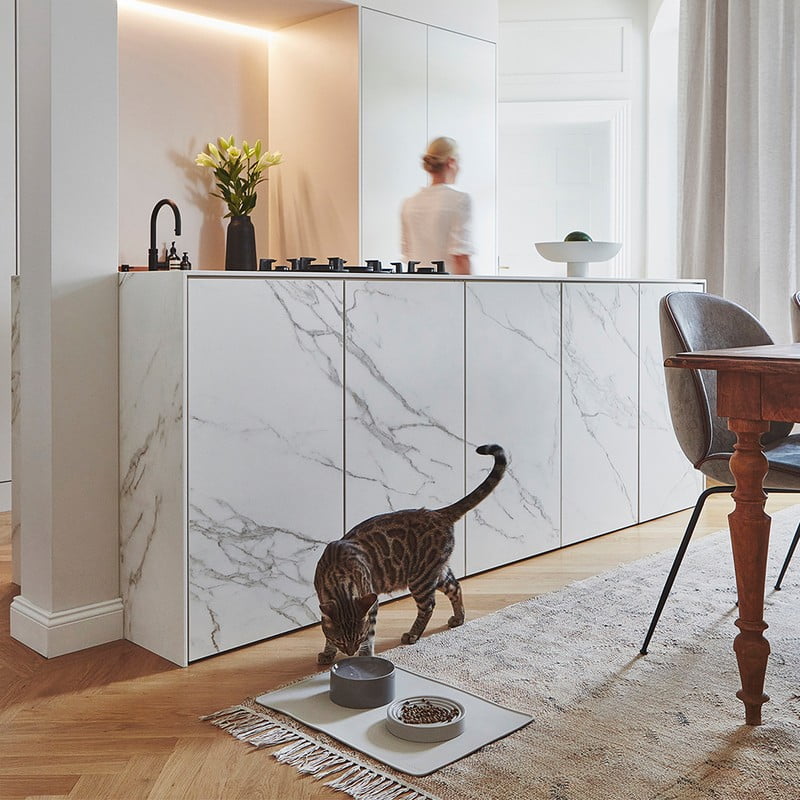 Navdih: Hišni ljubljenčki