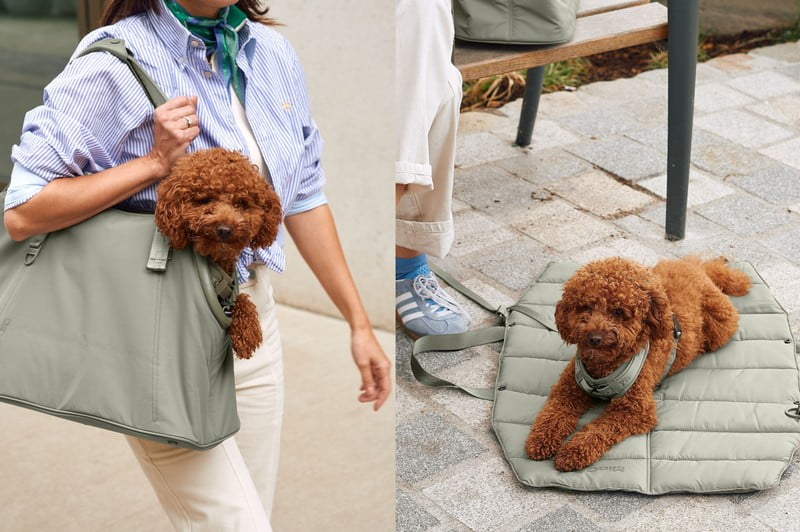 Navdih: Hišni ljubljenčki