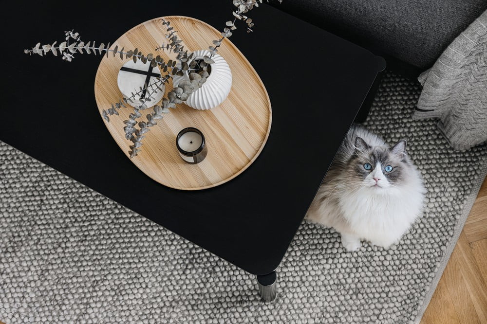 Navdih: Dnevna soba, Skandinavski stil