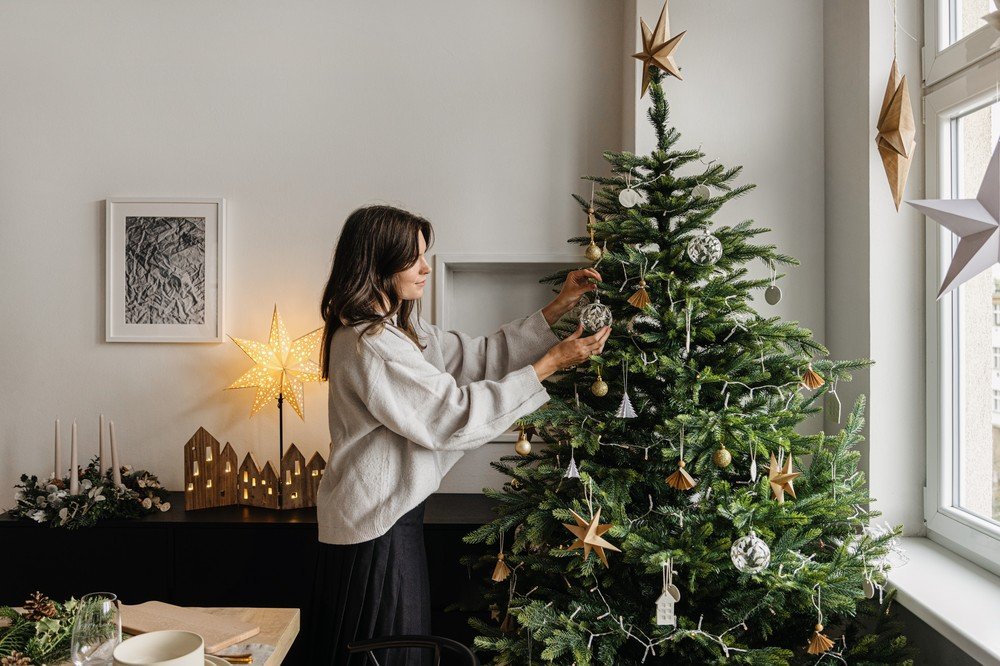 Navdih:  Božič, Jedilnica, Dekoracija