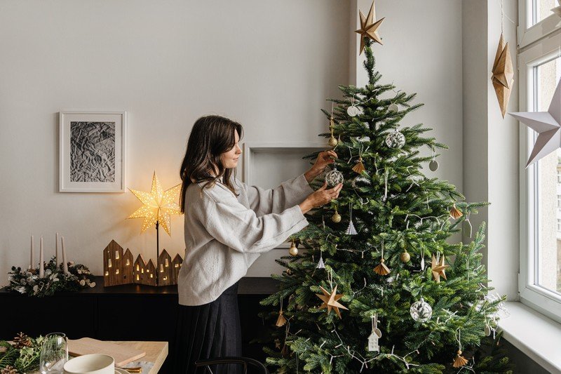 Navdih:  Božič, Jedilnica, Dekoracija