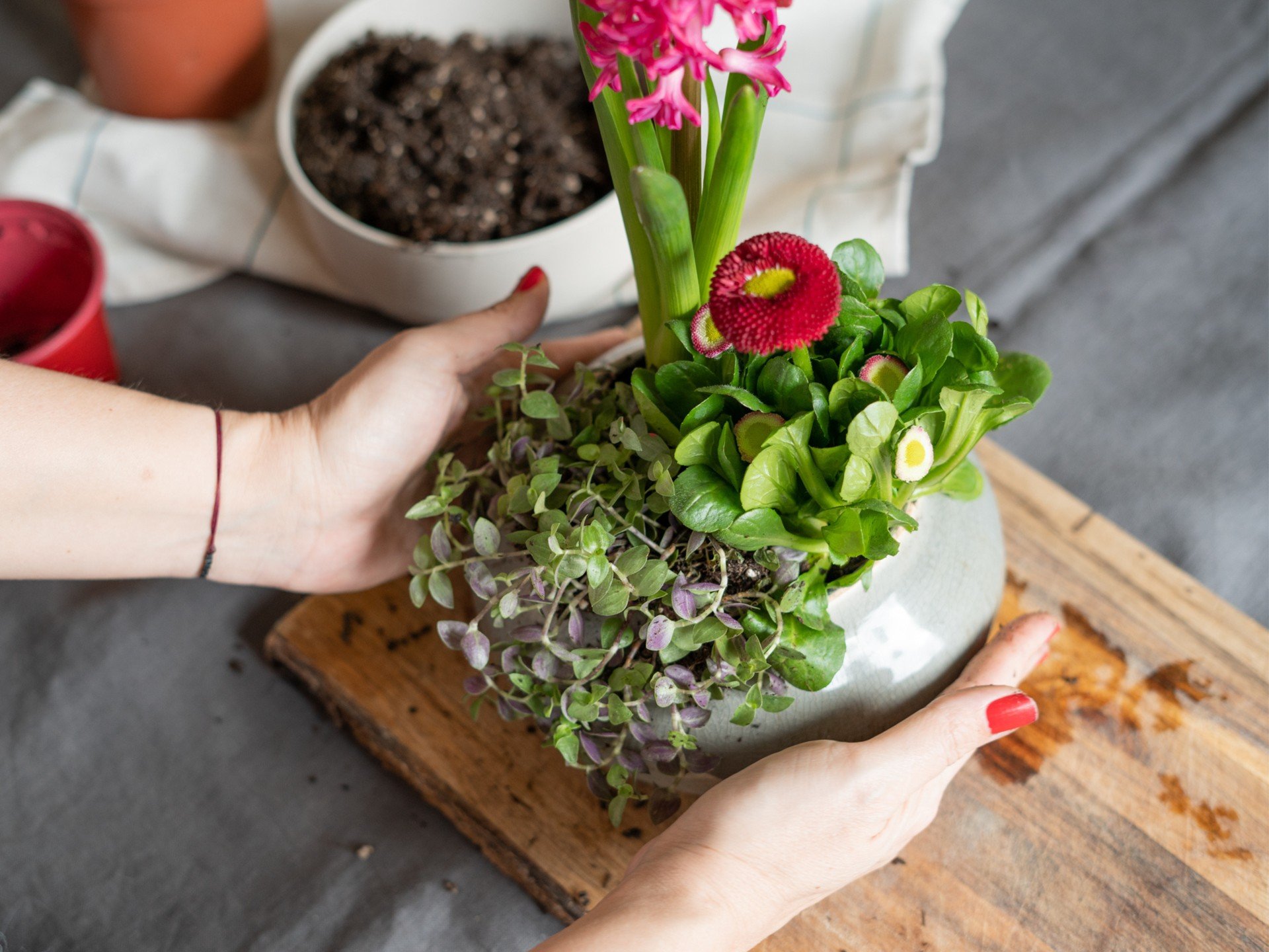 Pomladne dekoracije iz čebulnic in cvetočih rastlin