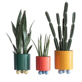 Cvetje in cvetlični lonci