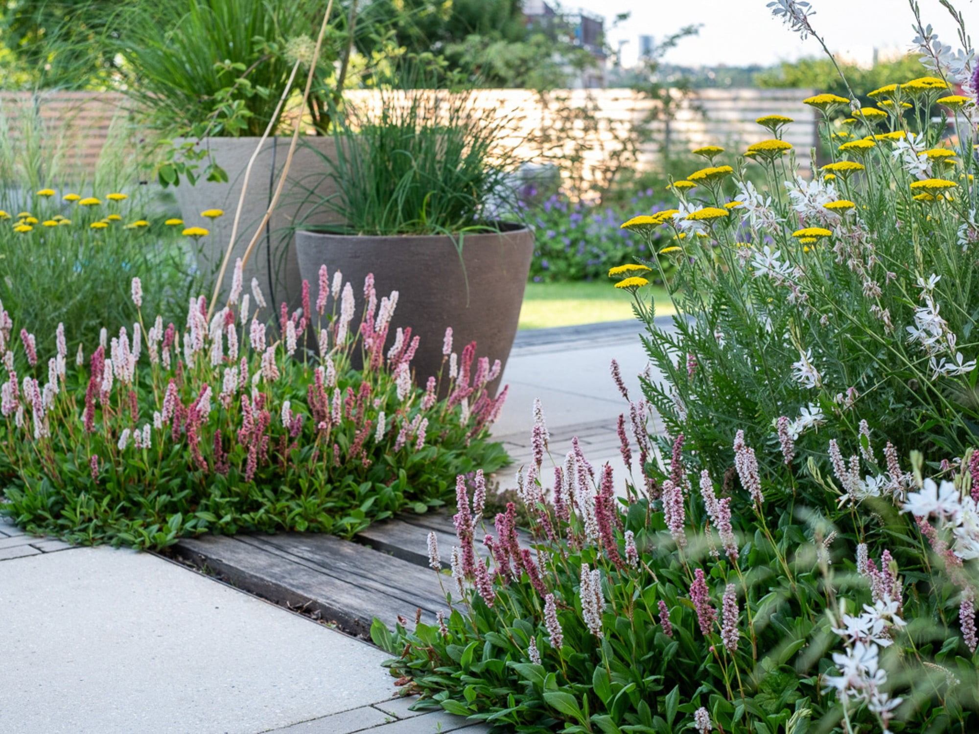 Tudi na majhnem vrtu je prostor za trajnice in zelenjavo.