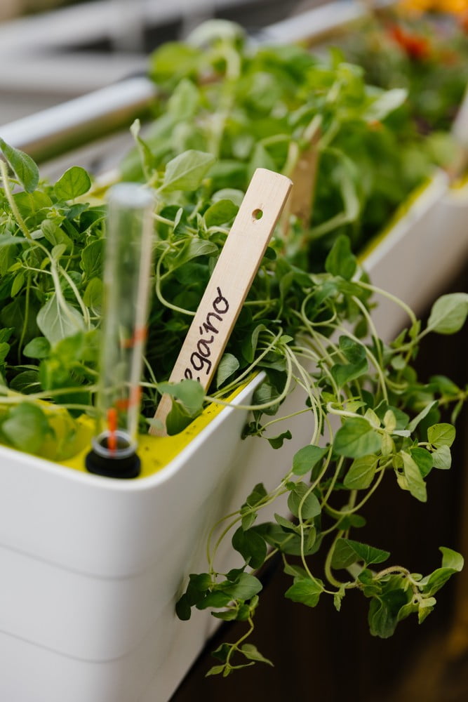 Navdih: Balkon in terasa