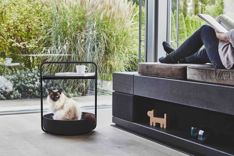 Navdih: Dnevna soba, Hišni ljubljenčki, Skandinavski stil