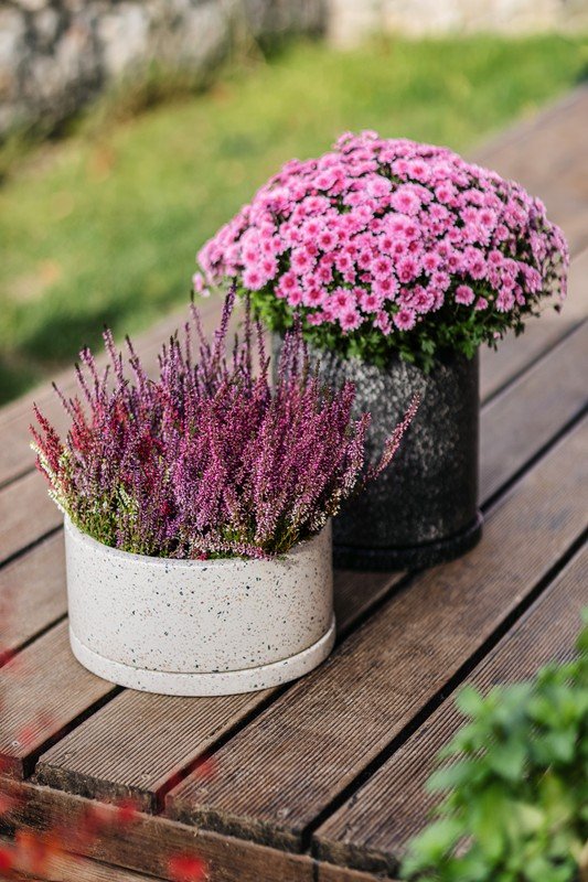 Navdih: Vrt, Balkon in terasa, Rustikalni stil