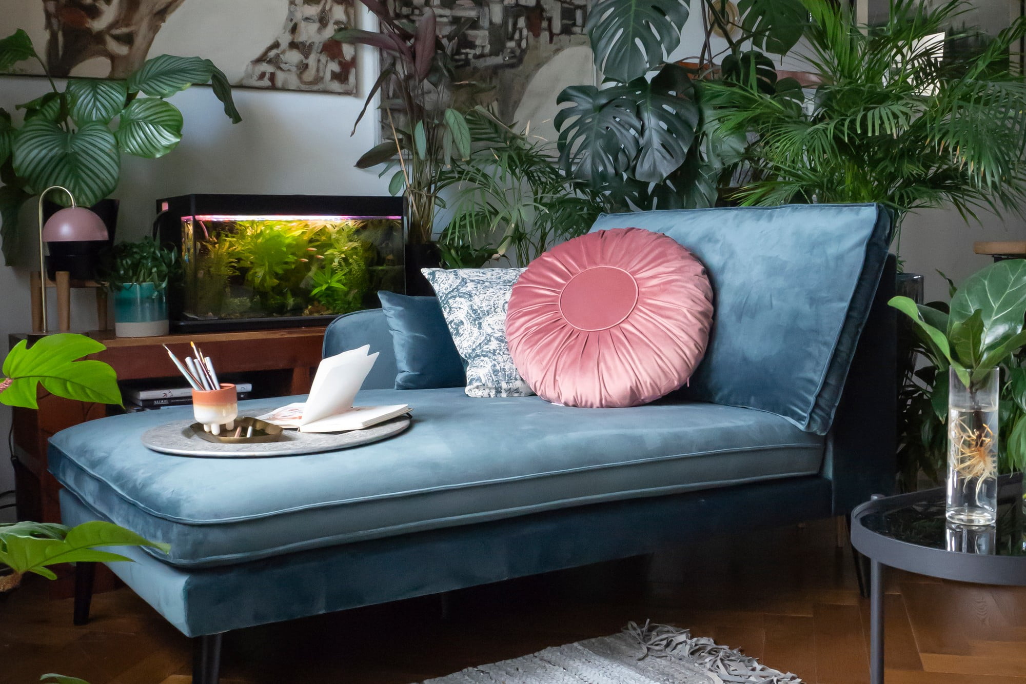 Iščete sobne rastline za v senco? Izbira je večja, kot si morda mislite.