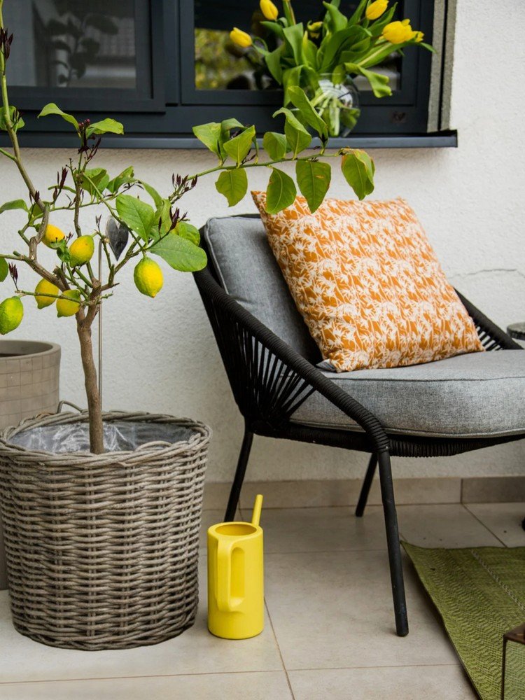 Navdih: Balkon in terasa, Vrt