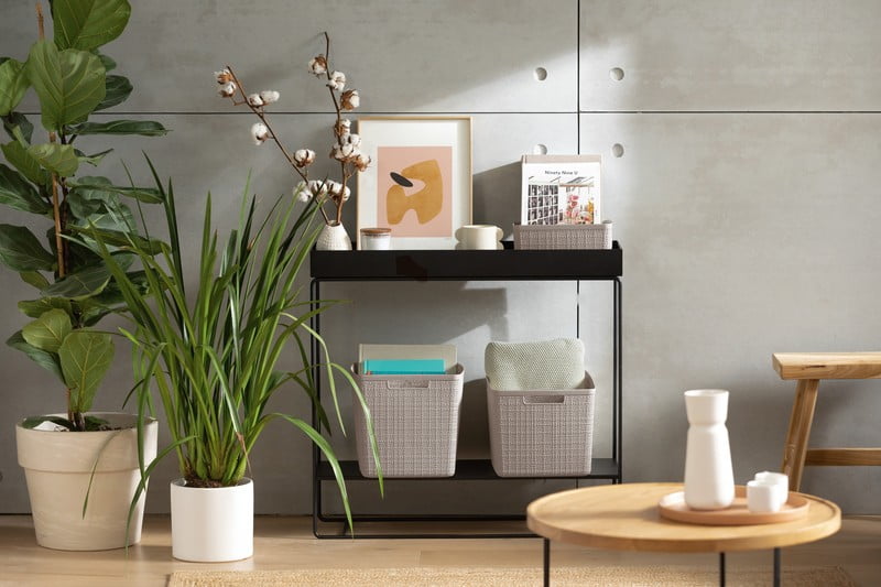 Navdih: Dnevna soba, Čiščenje in organizacija