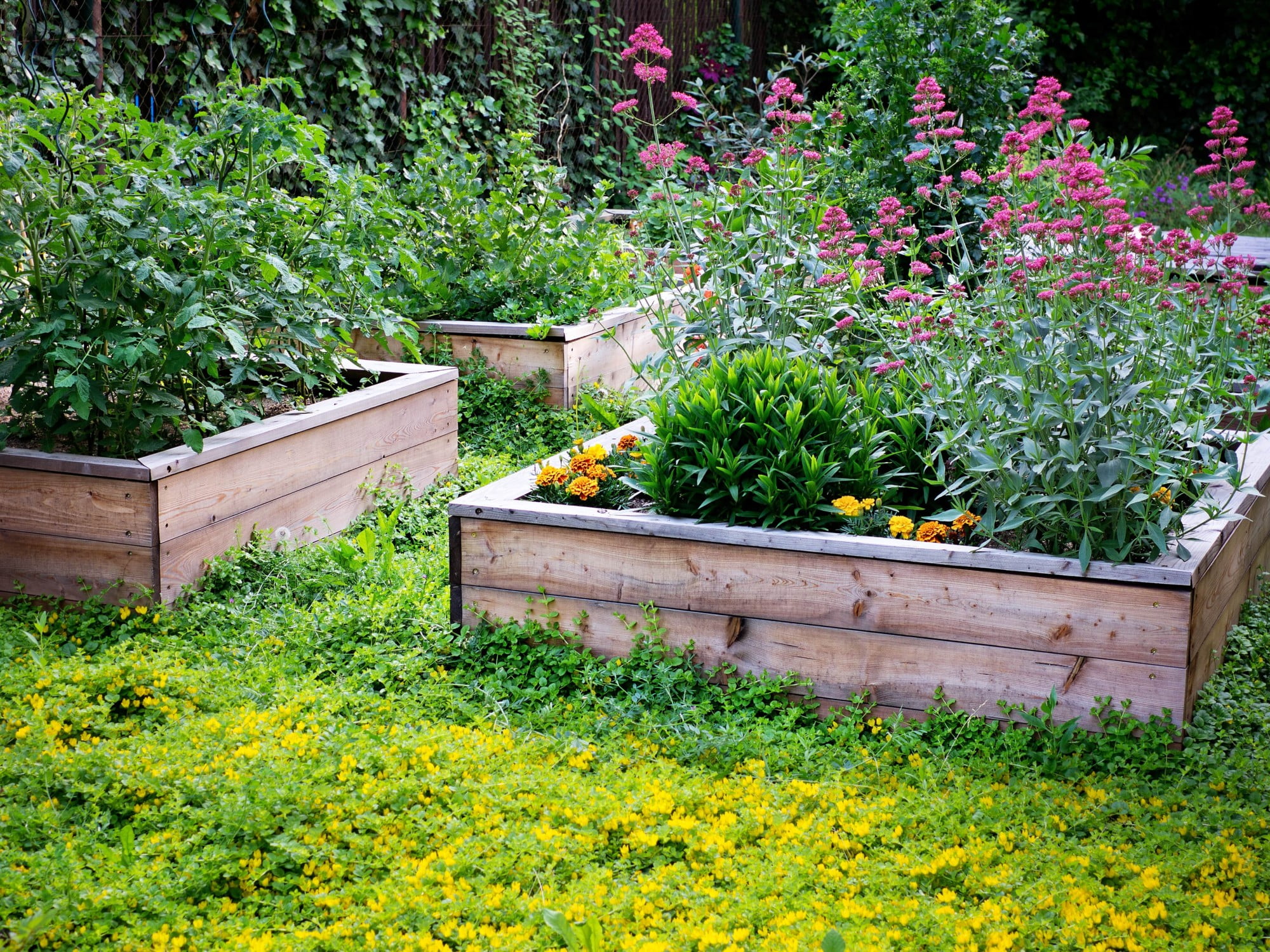 Dimenzije prilagodite svojim potrebam. Zelo dobra izbira so kvadratni tlorisi.