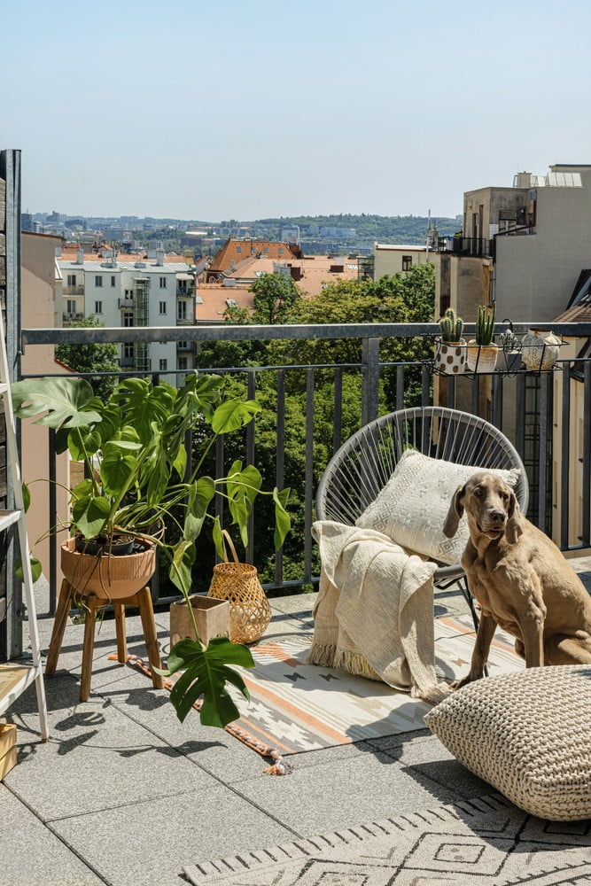 Navdih: Boho stil, Vrt, Balkon in terasa, Bonami na obisku