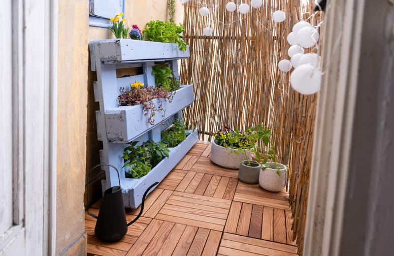 DIY: Preobrazba majhnega balkona v zeliščni vrt