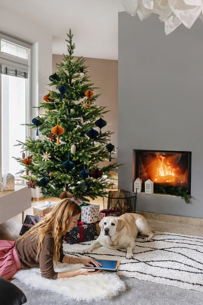 Navdih:  Božič, Dnevna soba