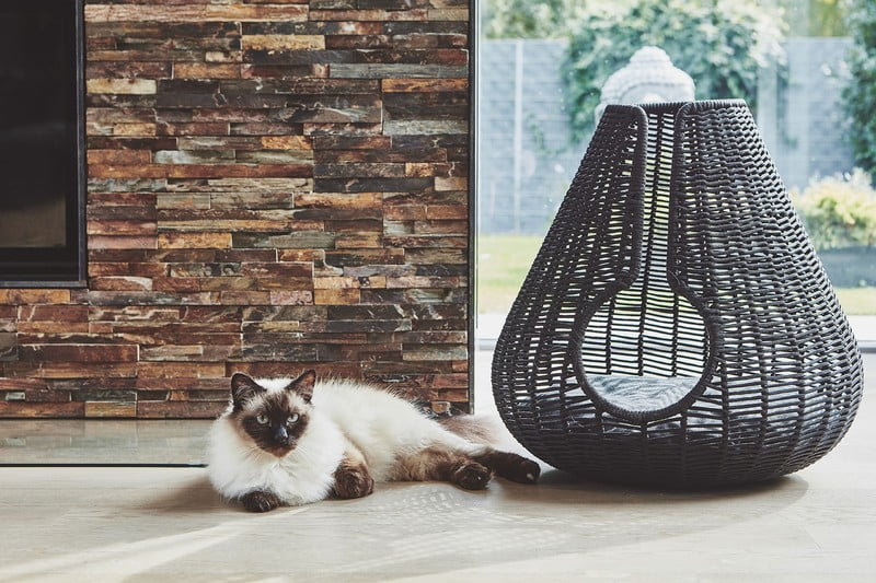 Navdih: Dnevna soba, Hišni ljubljenčki, Skandinavski stil