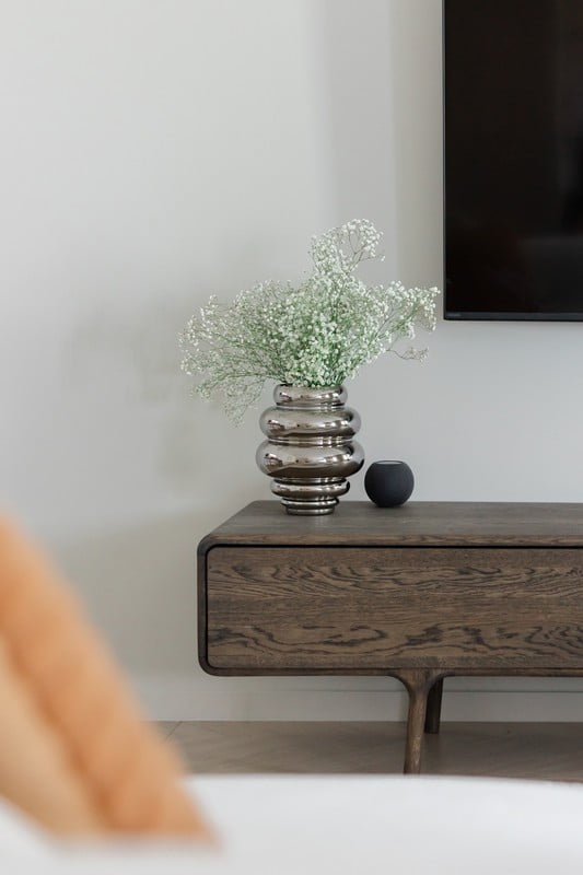 Navdih: Dnevna soba, Bonami na obisku