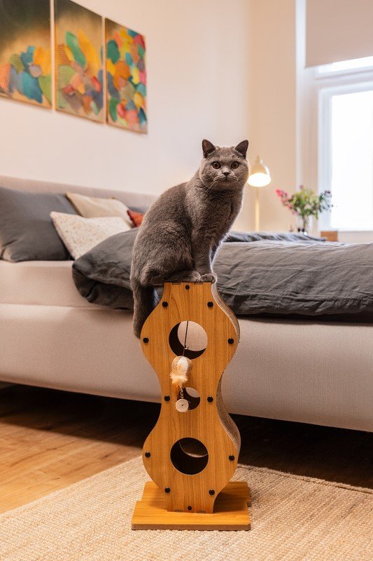 Navdih: Bonami na obisku