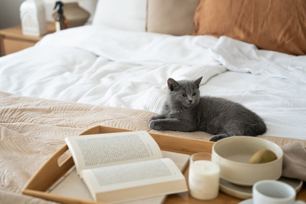 Navdih: Spalnica, Klasični stil, Jesen, Tekstil