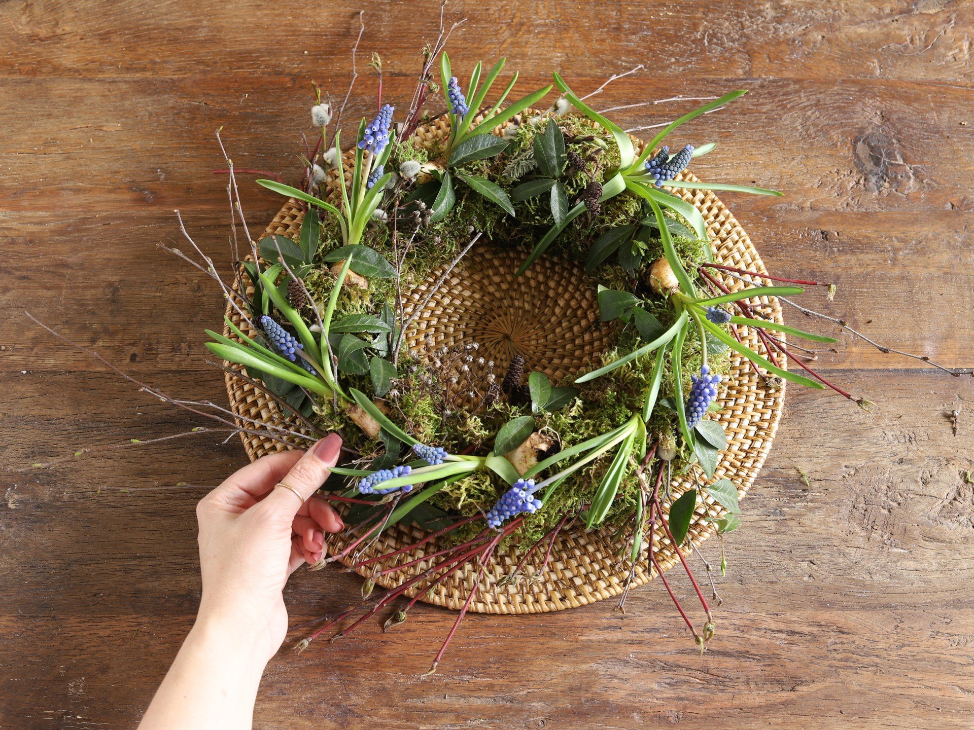 Pomladni venec za na mizo iz mahu, okrašen s čebulnicami