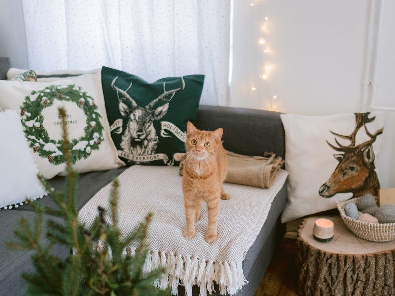 Navdih:  Božič, Dnevna soba