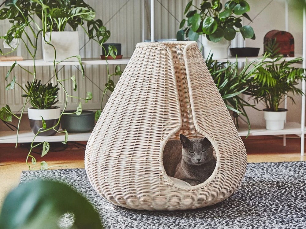 Navdih: Hišni ljubljenčki