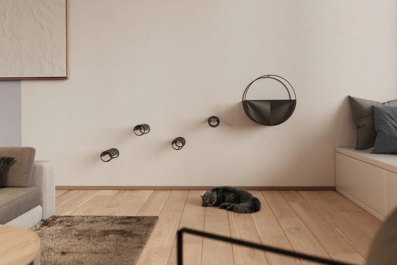 Navdih: Dnevna soba, Hišni ljubljenčki, Skandinavski stil