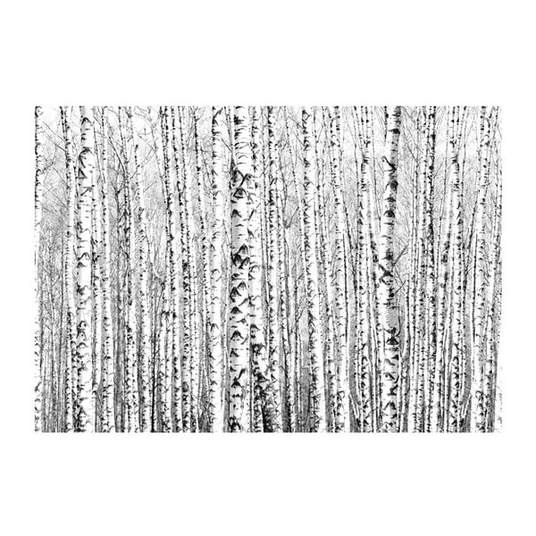 Tapeta velikega formata Artgeist Birch Forest, 200 x 140 cm