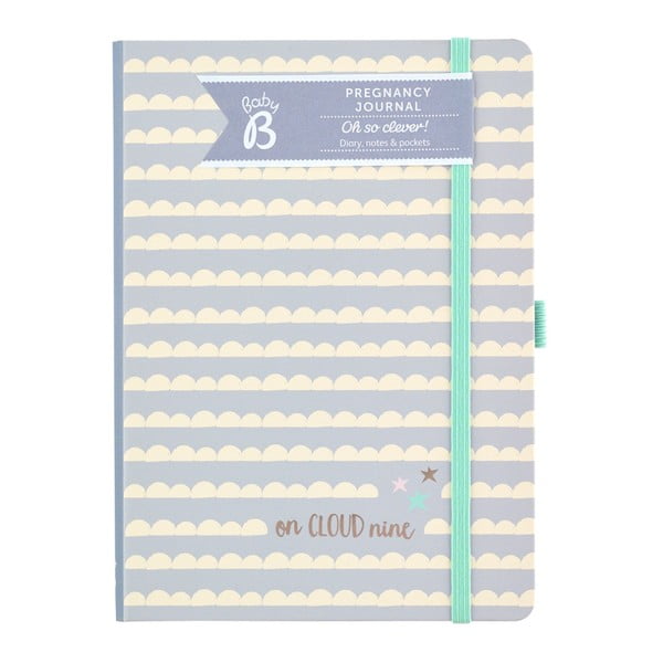 Nosečkin dnevnik Busy B Pregnancy Journal