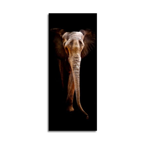 Slika Styler Elephant, 125 x 50 cm