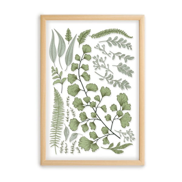 Slika z okvirjem iz borovega lesa Surdic Leafes Collection, 50 x 70 cm
