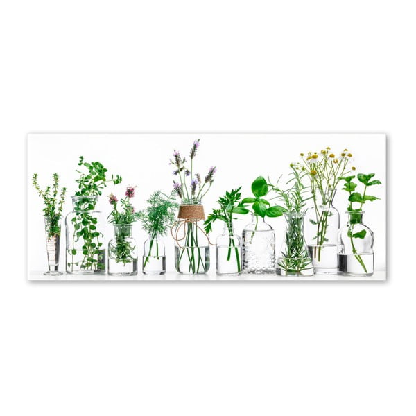 Slika Styler Glasspik Herbs, 30 x 80 cm