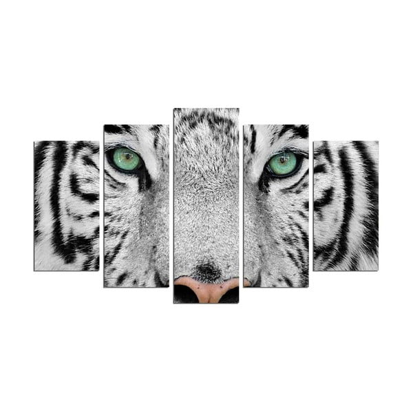 Večdelna stenska slika Snow Tiger