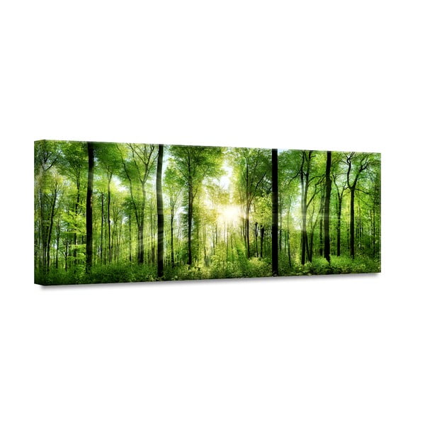 Slika Styler Glasspik Nature Sunlight, 50 x 125 cm